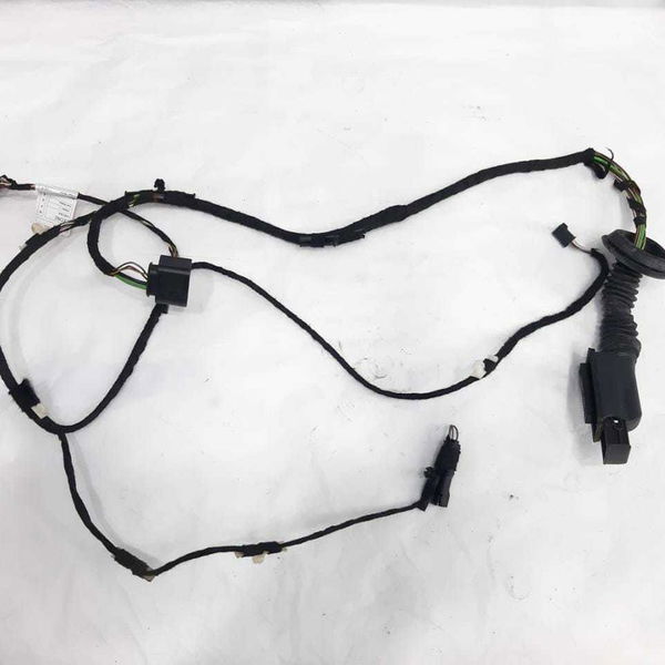 Chicote Porta Traseira Esquerda Bmw 120i 2016 9335302