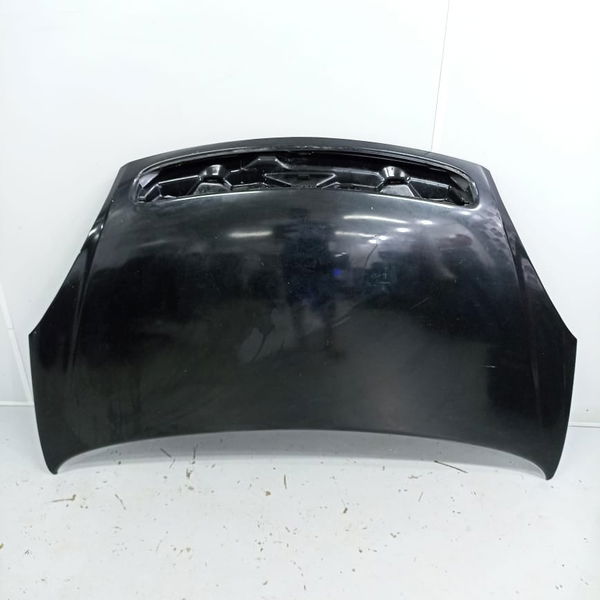 Capô Citroen Picasso Xsara 2003 2004 Detalhe