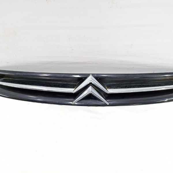 Grade Dianteira Parachoque Picasso 2004 Detalhe 9632099177