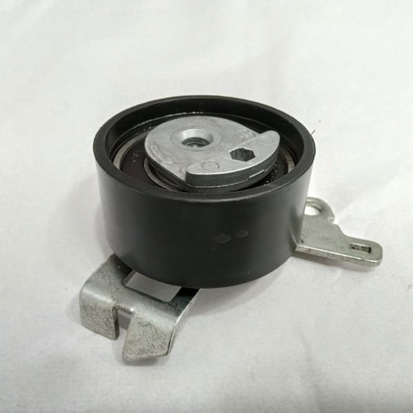 Polia Tensor Esticador Citroen Xsara Picasso 2004 Bt6006rsk