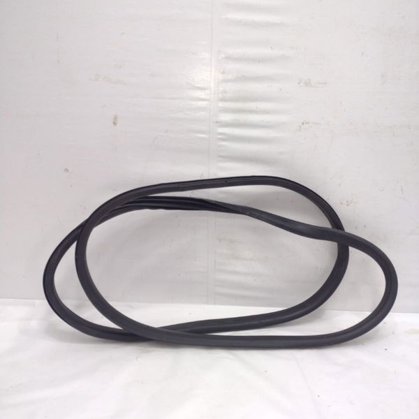 Borracha Porta Traseira Direita Renault Fluence 2013