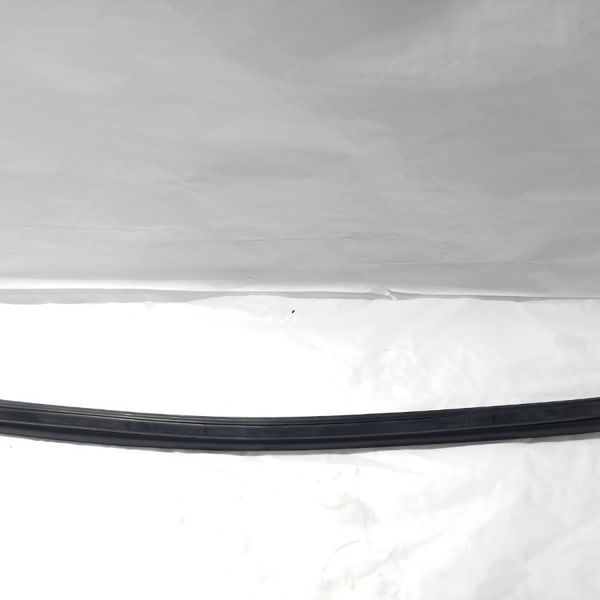 Borracha Externa Porta Dianteira Esquerda Fluence 2014