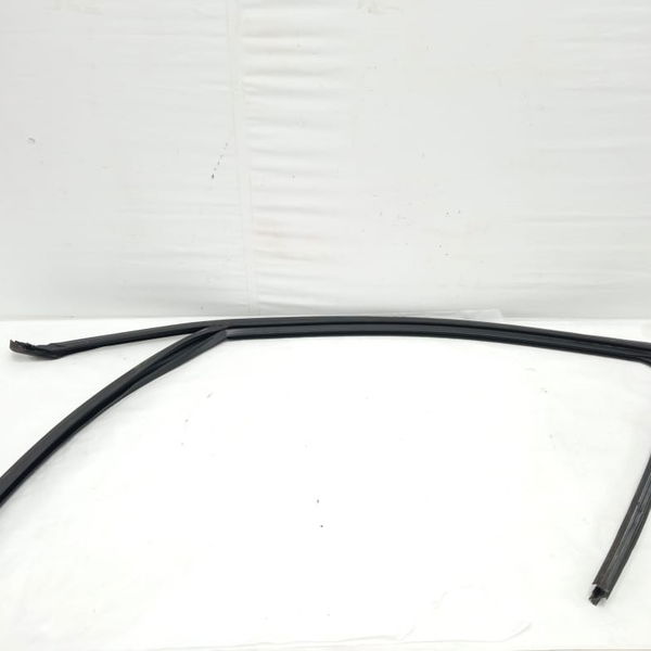 Borracha Canaleta Porta Dianteira Esquerda Bmw 320i 2015