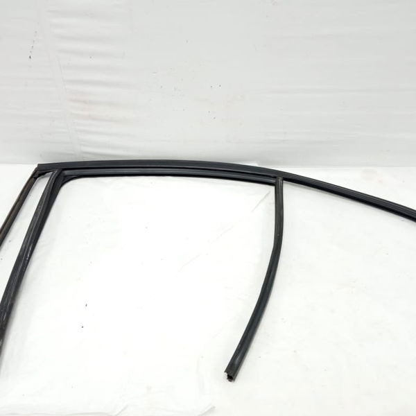 Borracha Canaleta Porta Traseira Esquerda Bmw 320i 2015 