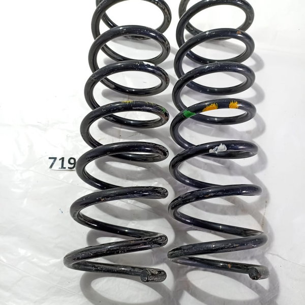 Par Mola Traseira Ford Focus 2014