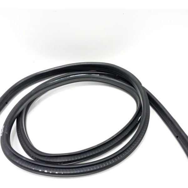Borracha Porta Traseira Direita Bmw X1 2013