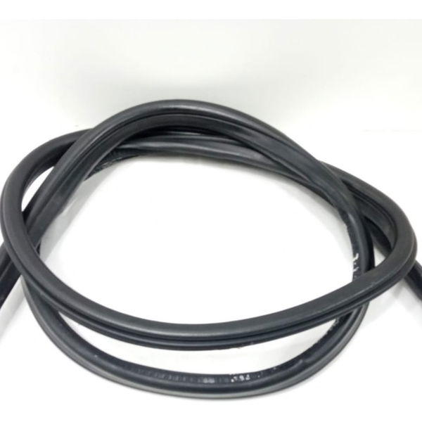 Borracha Porta Dianteira Esquerda Bmw X1 2013