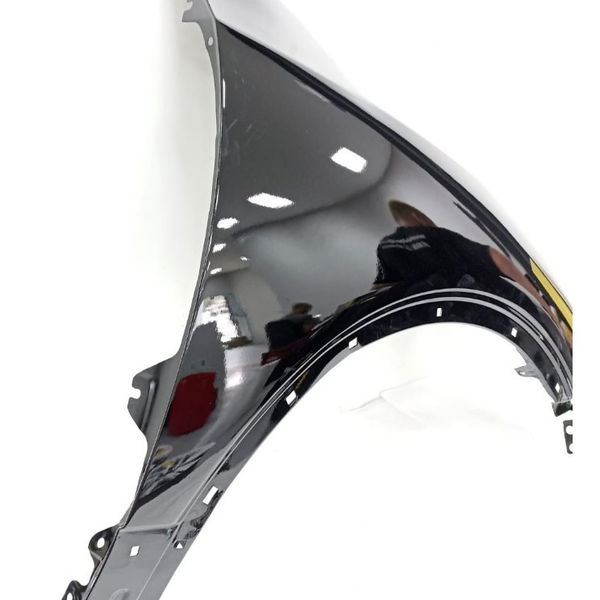 Paralama Direito Hyundai Vera Cruz 2010 Pintado