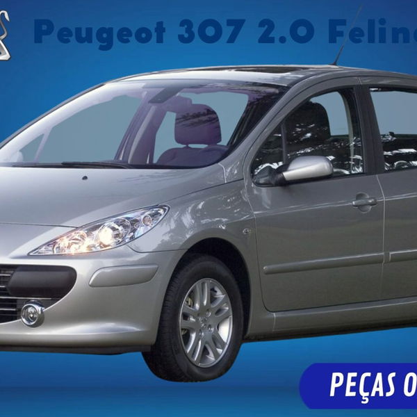 Bojo Isopor Do Porta Mala Peugeot 307 2.0 Feline 2009