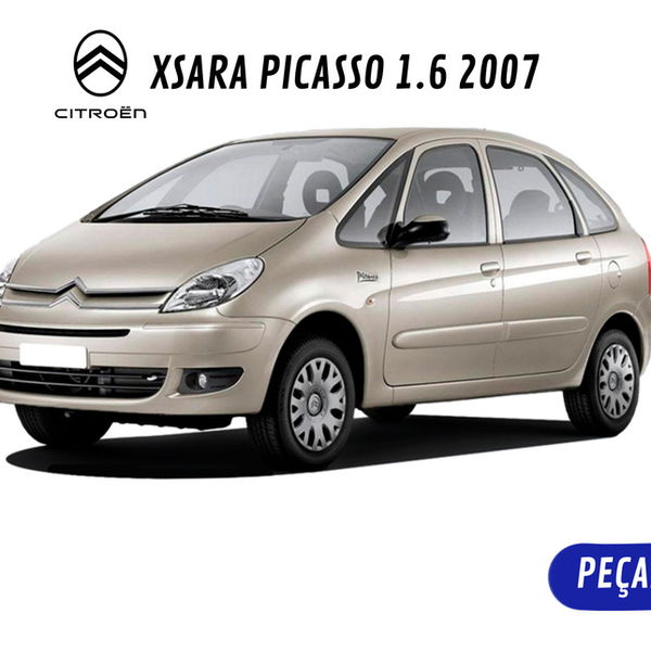 Moldura Botão Vidro Traseiro Direito Xsara Picasso 1.6 2007