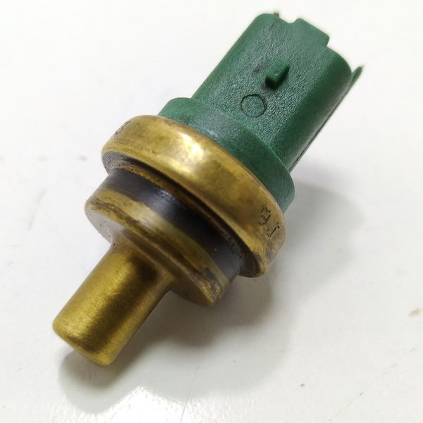 Sensor Temperatura C5 2.0 2012. 33840001