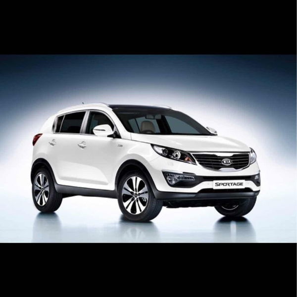 Pinça Dianteira Esquerda Sportage 2015/9196