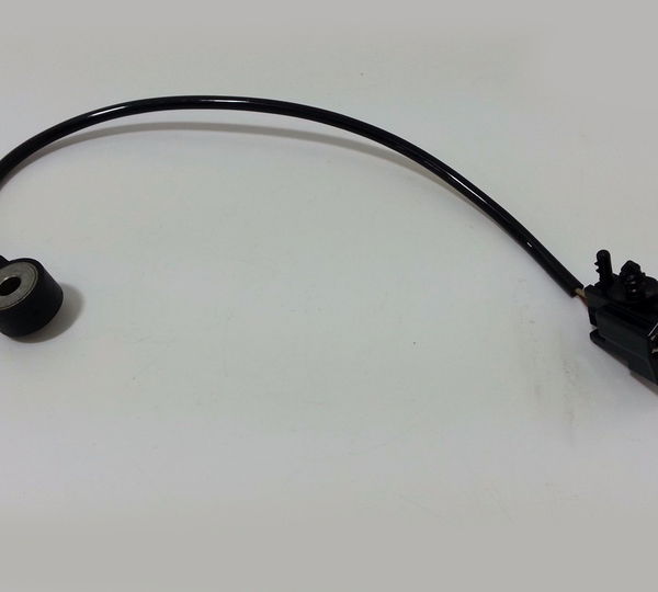 Sensor Detonação Ford Focus 1.6 16v Flex