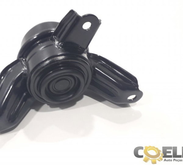 Coxim Motor Sportage 2.0 2012 Gasolina Original
