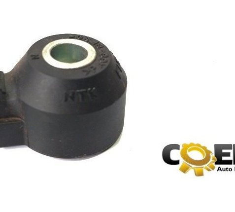 Sensor Detonação Honda New Fit 1.5 2014 (216)