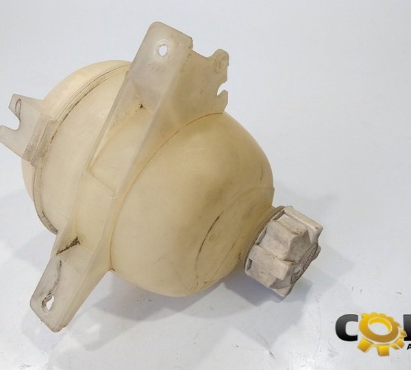 Reservatorio Agua Radiador Renault Sandero (369)