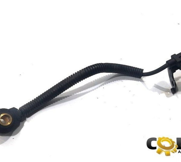 Sensor Detonação Hyundai Hb20 1.0 3cc 2018 (624)