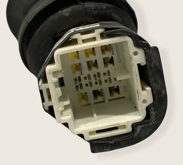 Chicote Porta Traseira Esquerda Civic 2013/2014 (810)