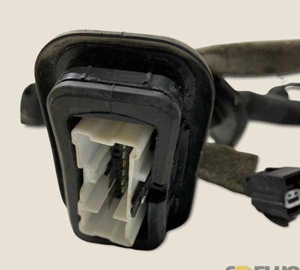 Chicote Porta Dianteira Esquerda Sandero Gt 19/20 (2079)