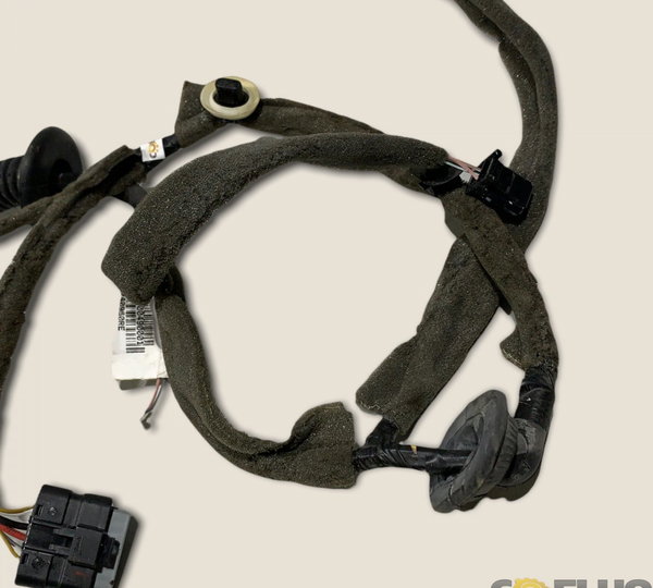 Chicote Porta Dianteira Esquerda Sandero Gt 19/20 (2079)