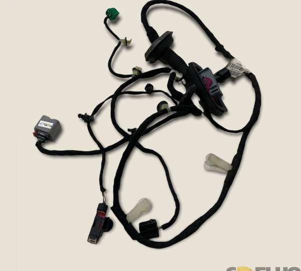 Chicote Porta Tras. Dir. Cruze Ltz 2017 (2888)