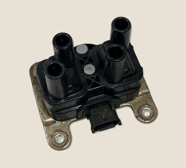 Bobina Ignição Palio Trekking 1.6 16v Flex 2012 (3519)