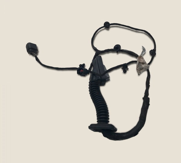 Chicote Porta Traseira Direita Onix Lt 2019 (4074)