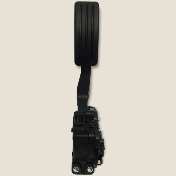 Pedal Acelerador Renault Sandero Clio Duster Logan 2013 (g)