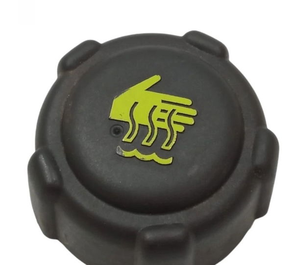 Tampa Reservatório Radiador Renault Sandero 1.6 St 2019/20