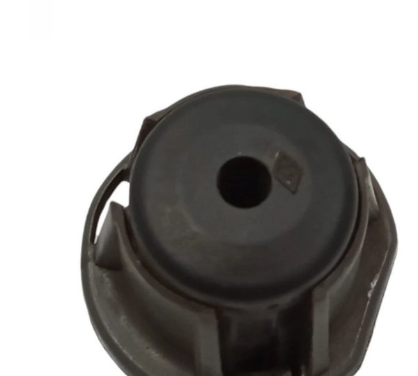 Batente Borracha Central Do Capô Sandero 1.6 St 2019/20