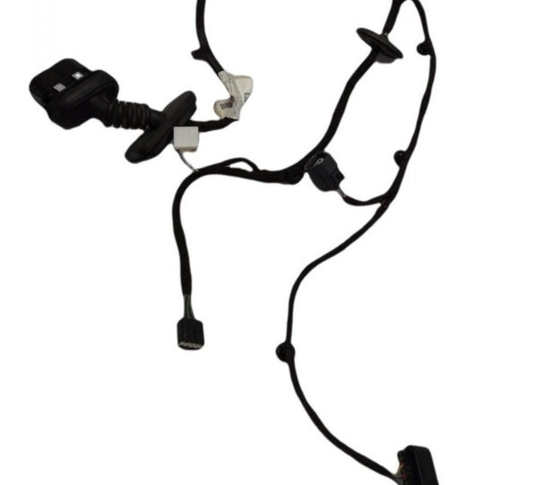 Chicote Porta Traseira Ld Ford Ka 1.0 2015