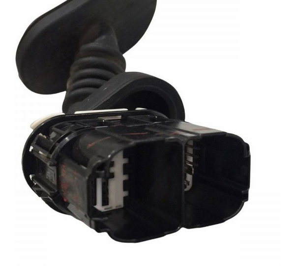 Chicote Porta Traseira Ld Ford Ecosport Se 1.5 2020/21
