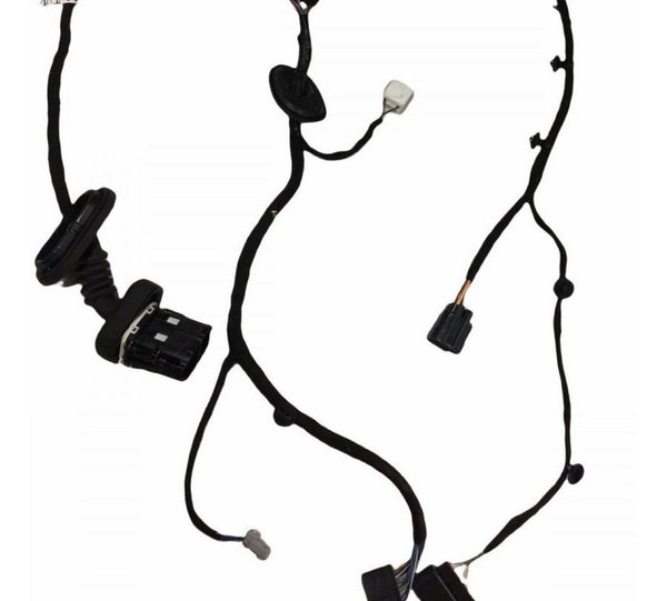 Chicote Porta Traseira Ld Ford Ecosport Se 1.5 2020/21