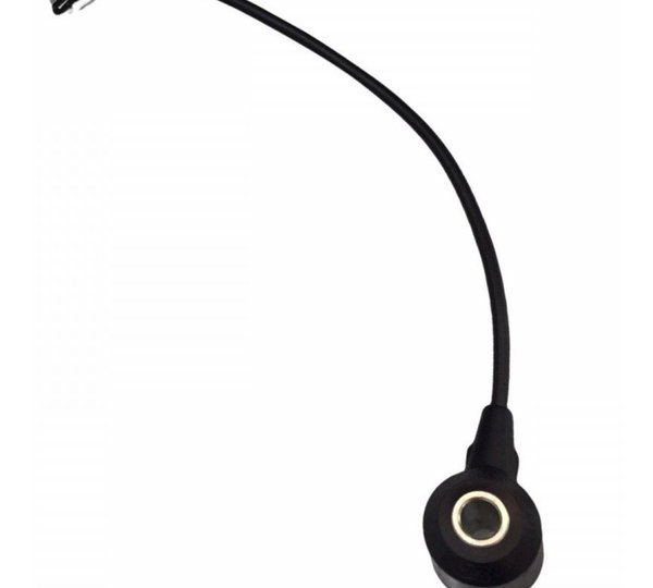 Sensor Detonação Ford Ecosport Se 1.5 2020/21