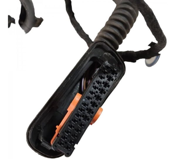 Chicote Porta Traseira Direito 2018/ 2021 (1sb971694g)