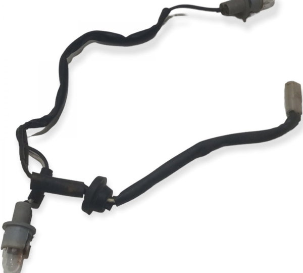 Chicote Luz Placa Chery Qq 2015 (g)