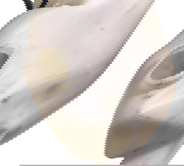 Reservatório Agua Para Brisa Renault Sandero 08/2011 Origin