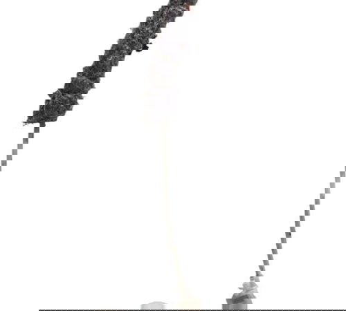 Fechadura Elétrica Trasei/direita Gol G7/g8 2020 5u4839014m