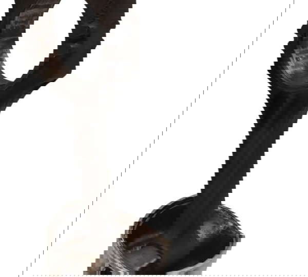 Pistão E Biela Sandero Clio Kangoo Scenic Duste 1.6 16v Flex