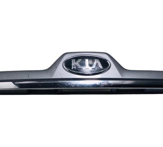 Moldura Placa Aplique Kia Sportage 2005/2010 925011f5