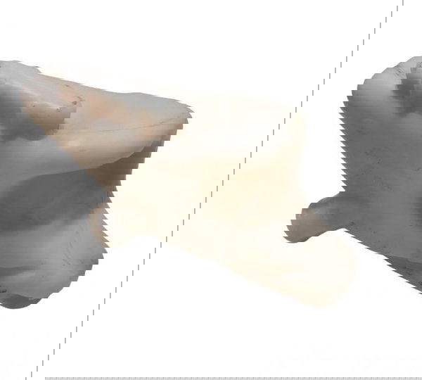 Reservatório Gasolina Partida Frio Renault Clio 1996 A 2016