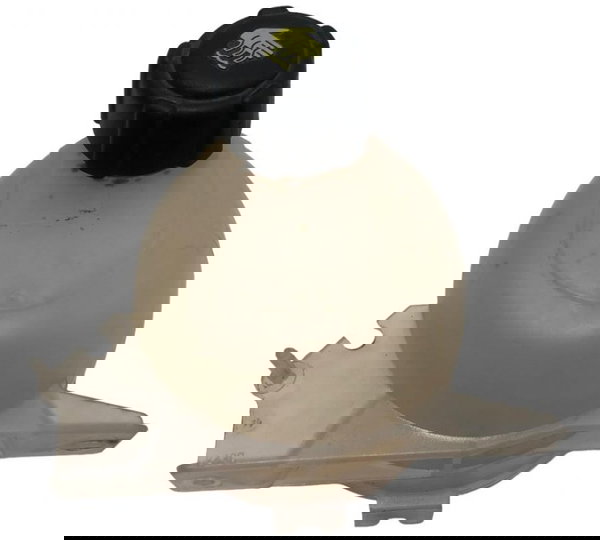 Reservatório Água Radiador Renault Sandero 1.6 2012