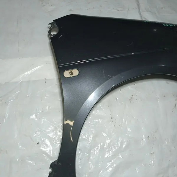 Paralama Dianteiro Direito Renault Scenic 2005