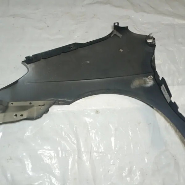 Paralama Dianteiro Direito Renault Scenic 2005