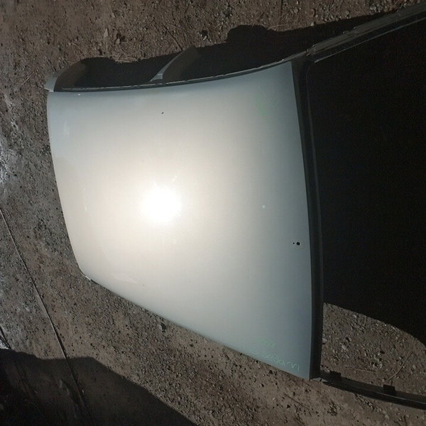 Teto Renault Clio Sedam 2008 Prata