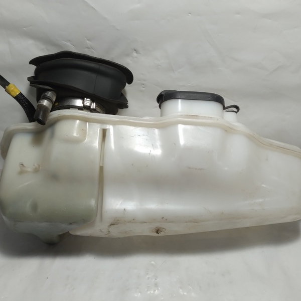 Reservatório Gasolina Partida Fria Renault Logan Sandero