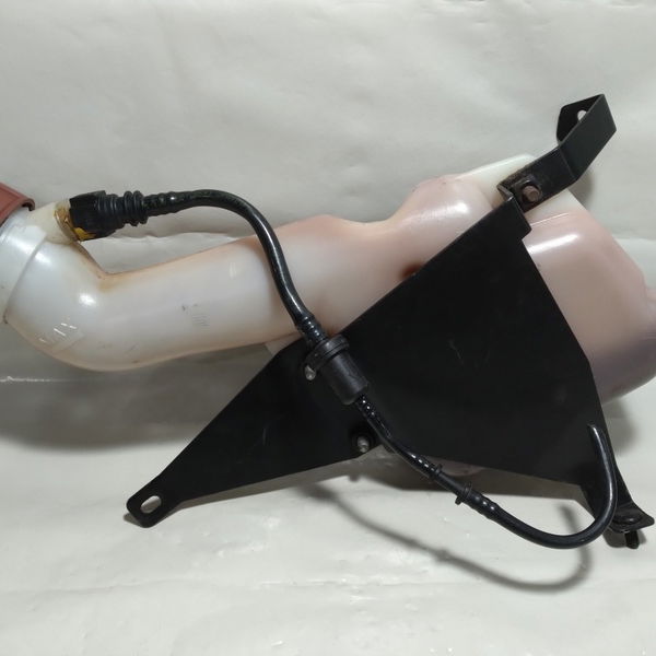 Reservatório De Gasolina Partida Fria Renault Clio 2008