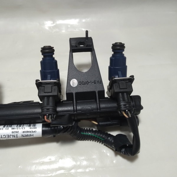 Flauta E Bico Injeção Renault Clio 1.0 16v 2006