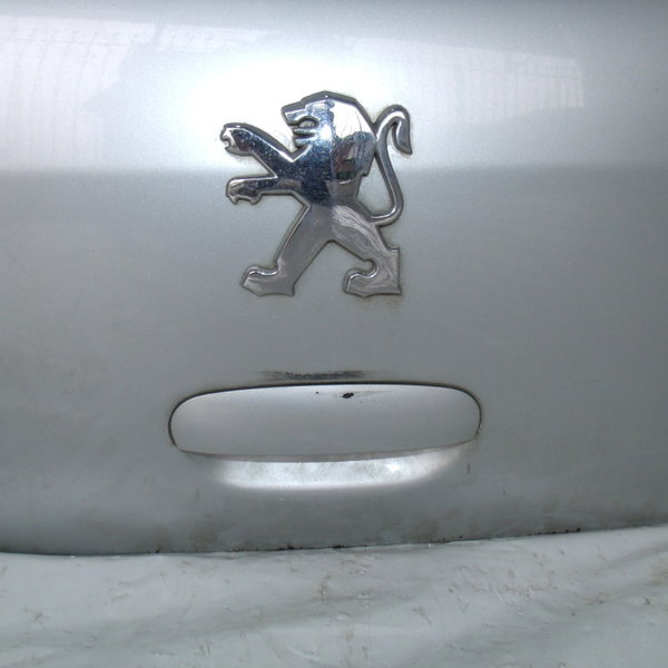 Capo Traseira Tampa Com Vidro Vigia Peugeot 307 Completo