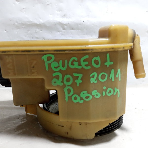 Bomba Direção Hidráulica Peugeot 207 1.4 2011